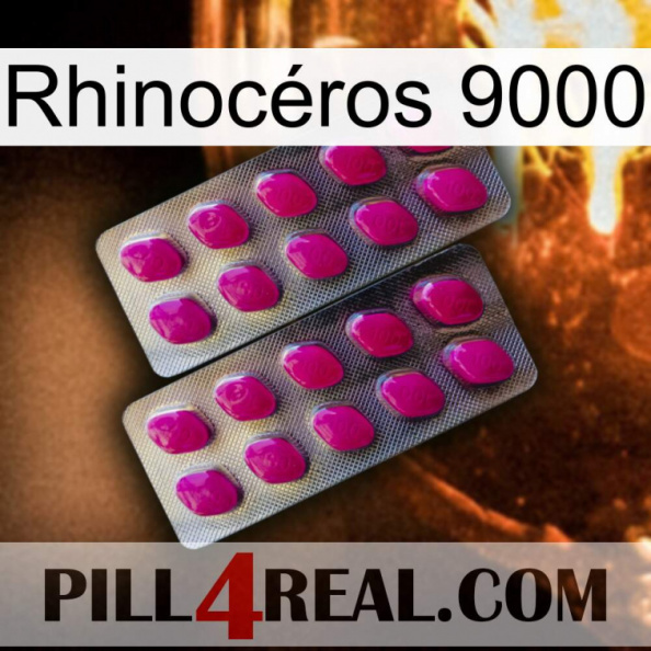 Rhinocéros 9000 10